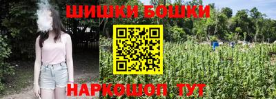 крисы Лесосибирск