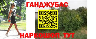 крисы Лесосибирск