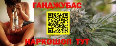 крисы Лесосибирск
